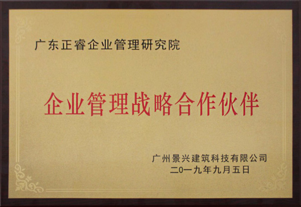 授予星亿企业管理战略合作伙伴牌匾