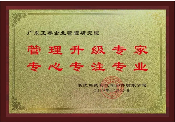 蔡总代表瑞德利公司授予星亿咨询牌匾