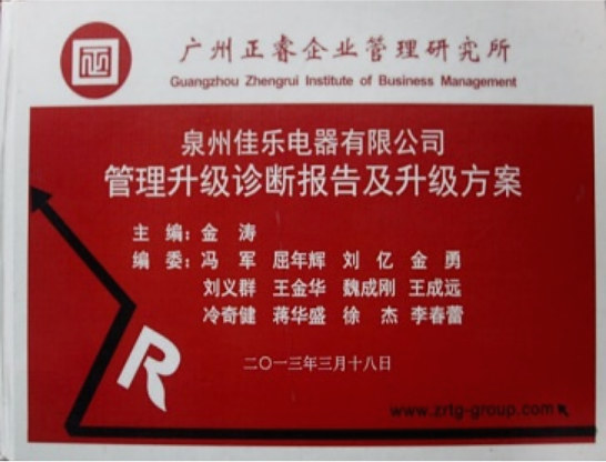 2013年3月18日星亿专家老师向佳乐项目董事长陈述调研报告