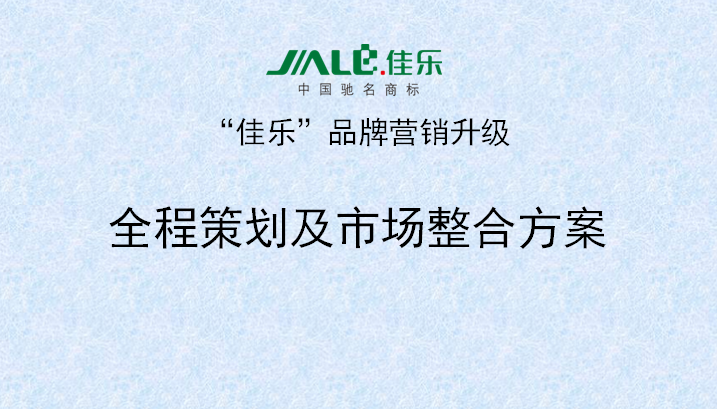 2013年3月18日星亿专家老师向佳乐项目董事长陈述调研报告