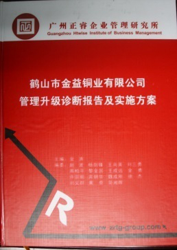 广益集团管理升级诊断报告及实施方案