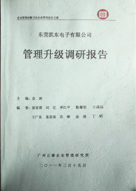 2011年3月15日，星亿咨询专家向凯东决策层陈述调研报告