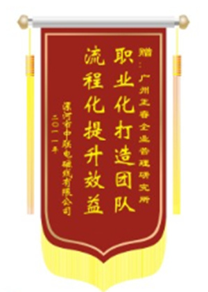 中联电磁线总经理赠送星亿咨询职业化打造团队，流程化提升效益锦旗