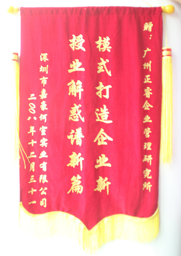 嘉豪何室董事长赠送星亿咨询模式打造企业新，授业解惑谱新篇锦旗