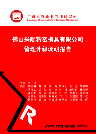 星亿咨询专家向兴顺公司决策层陈述调研报告书