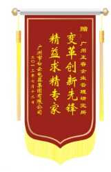 白云电气集团赠送星亿咨询变革创新先锋，精益求精专家锦旗