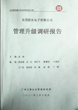 2012年4月5日，星亿咨询向洁丽决策层陈述调研报告