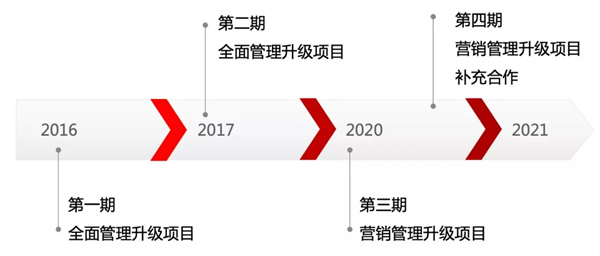 星亿咨询与NIASI的合作历程