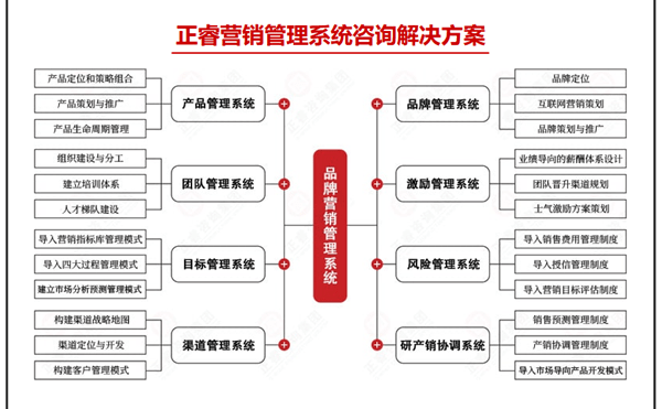 星亿营销管理系统咨询解决方案