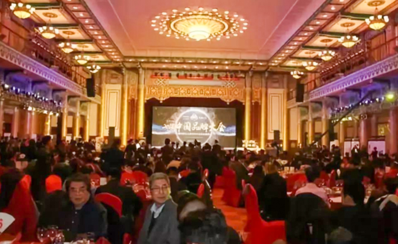 中国品牌大会盛大开幕——星亿咨询集团金涛教授受邀参加盛典