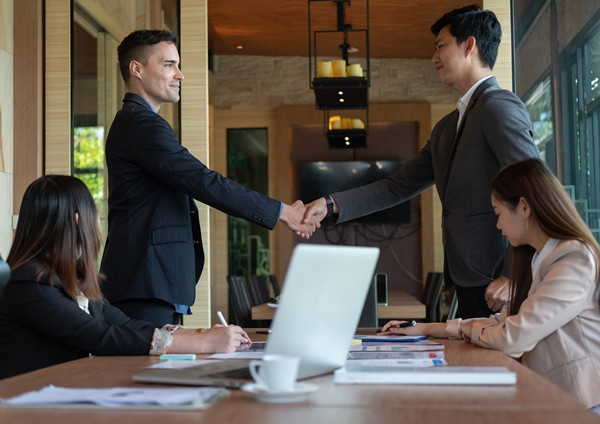 集团管控：建立风险防范机制，确保企业稳健发展