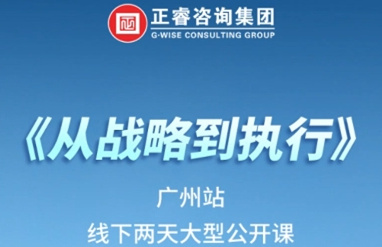 《星亿咨询—从战略到执行》